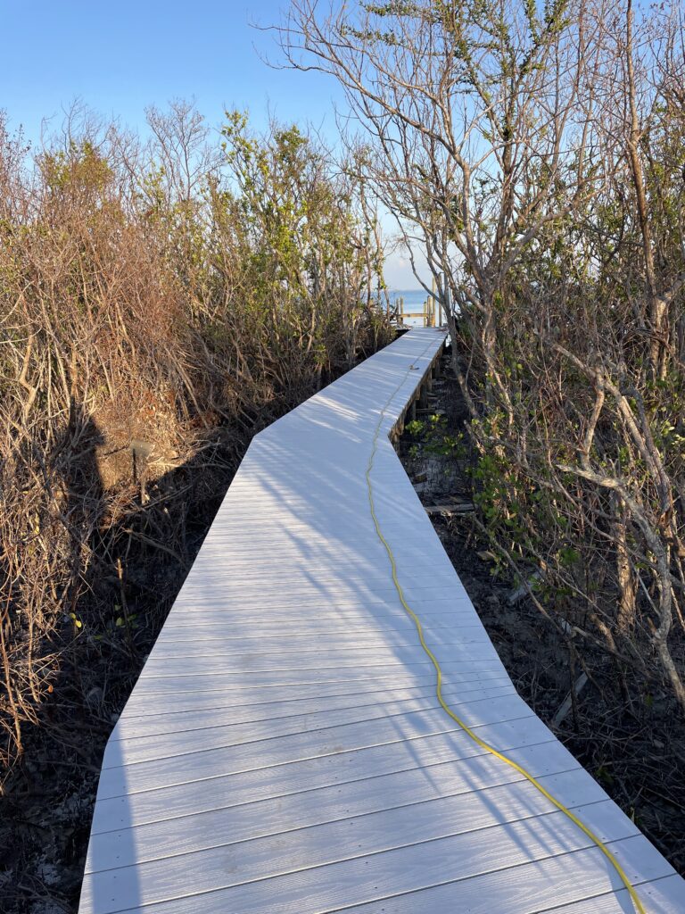 boardwalk through mangroves on captiva island built by submerged consultants